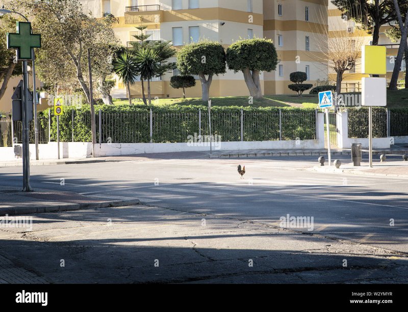 Spain - chicken road game